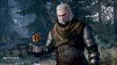 100461_ljofazyhoo_the_witcher_3_wild_hunt_getting